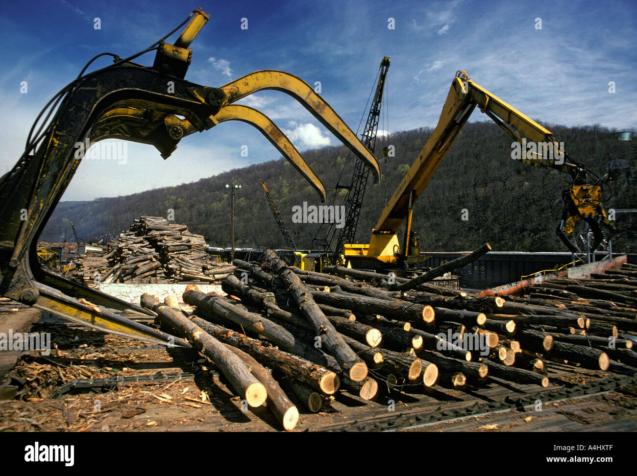 Machinery moving logs into debarking drum at pulp mill Stock Photo