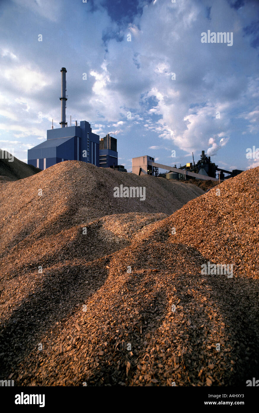 Paper mill surrounded by piles of wood chips for making pulp Stock Photo