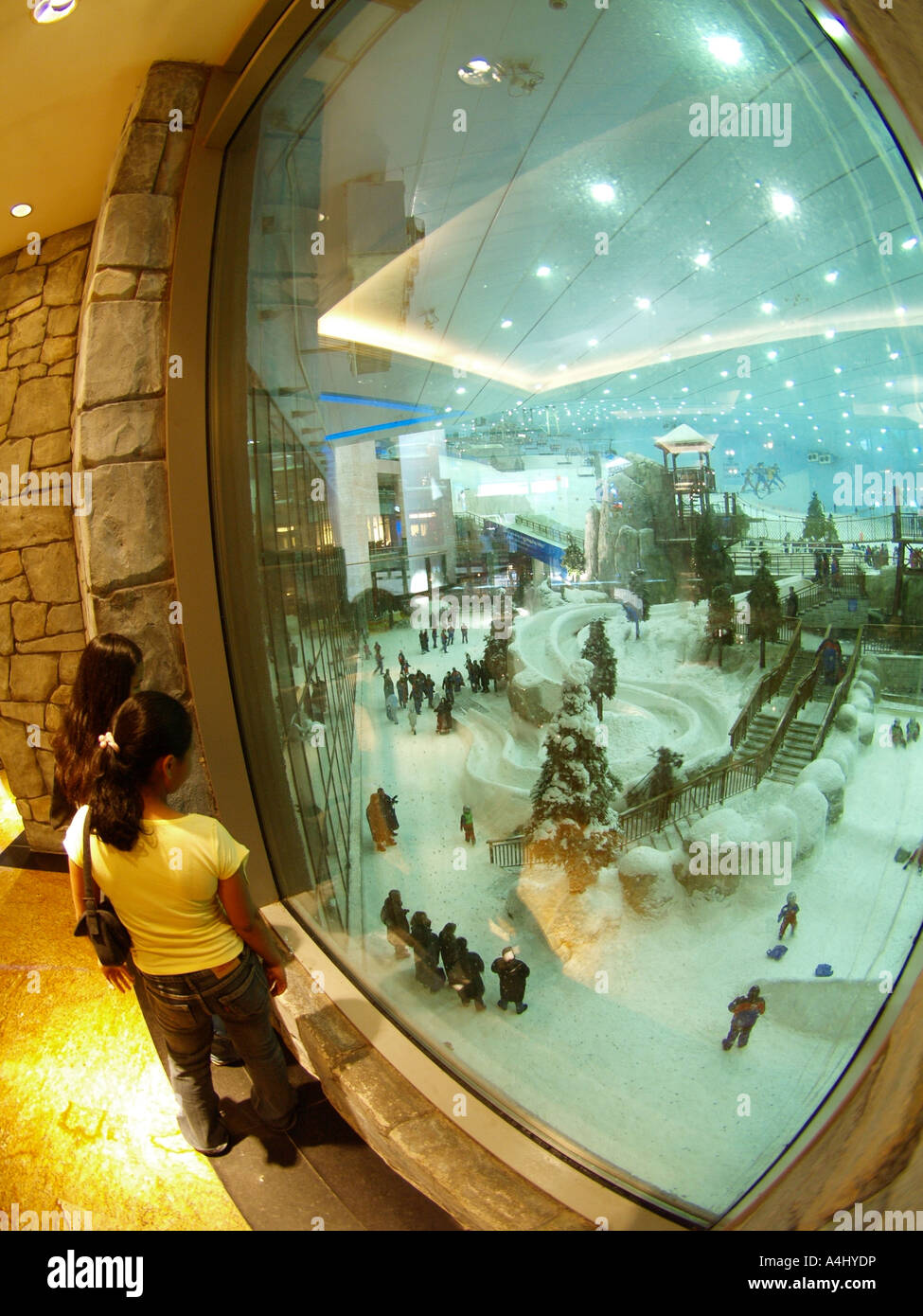 Dubai, Emirates Mall, Ski Dubai, indoor skiing in the desert Stock Photo
