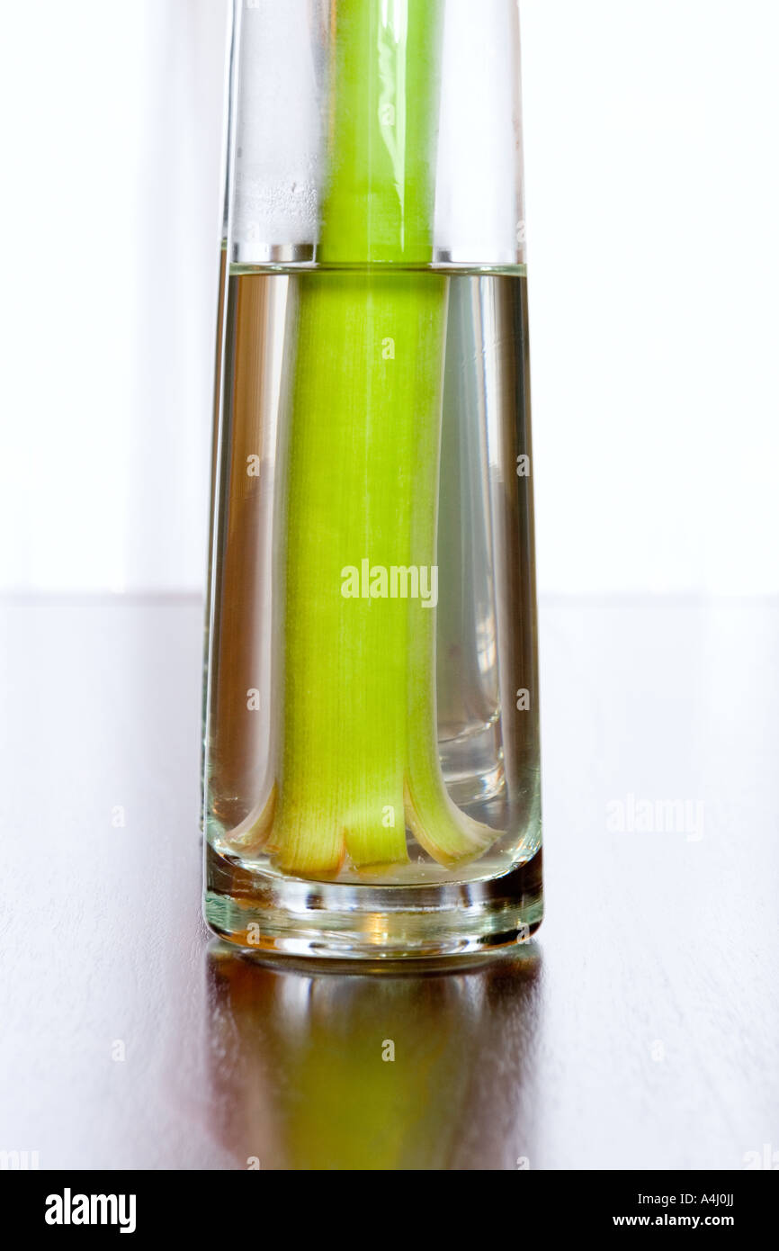 Vase and water Stock Photo Alamy