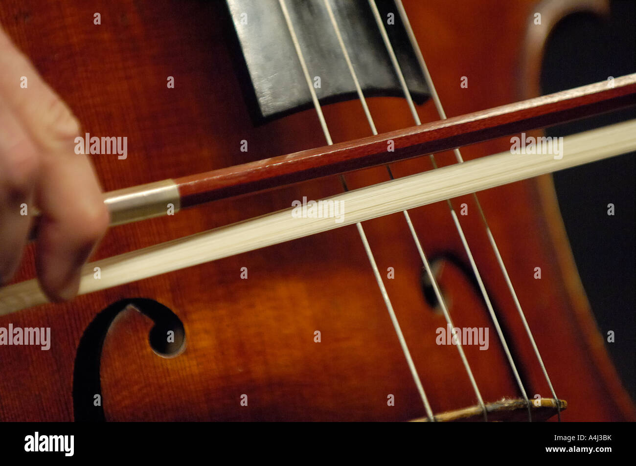 Bow rubbing the strings of a double bass Stock Photo Alamy