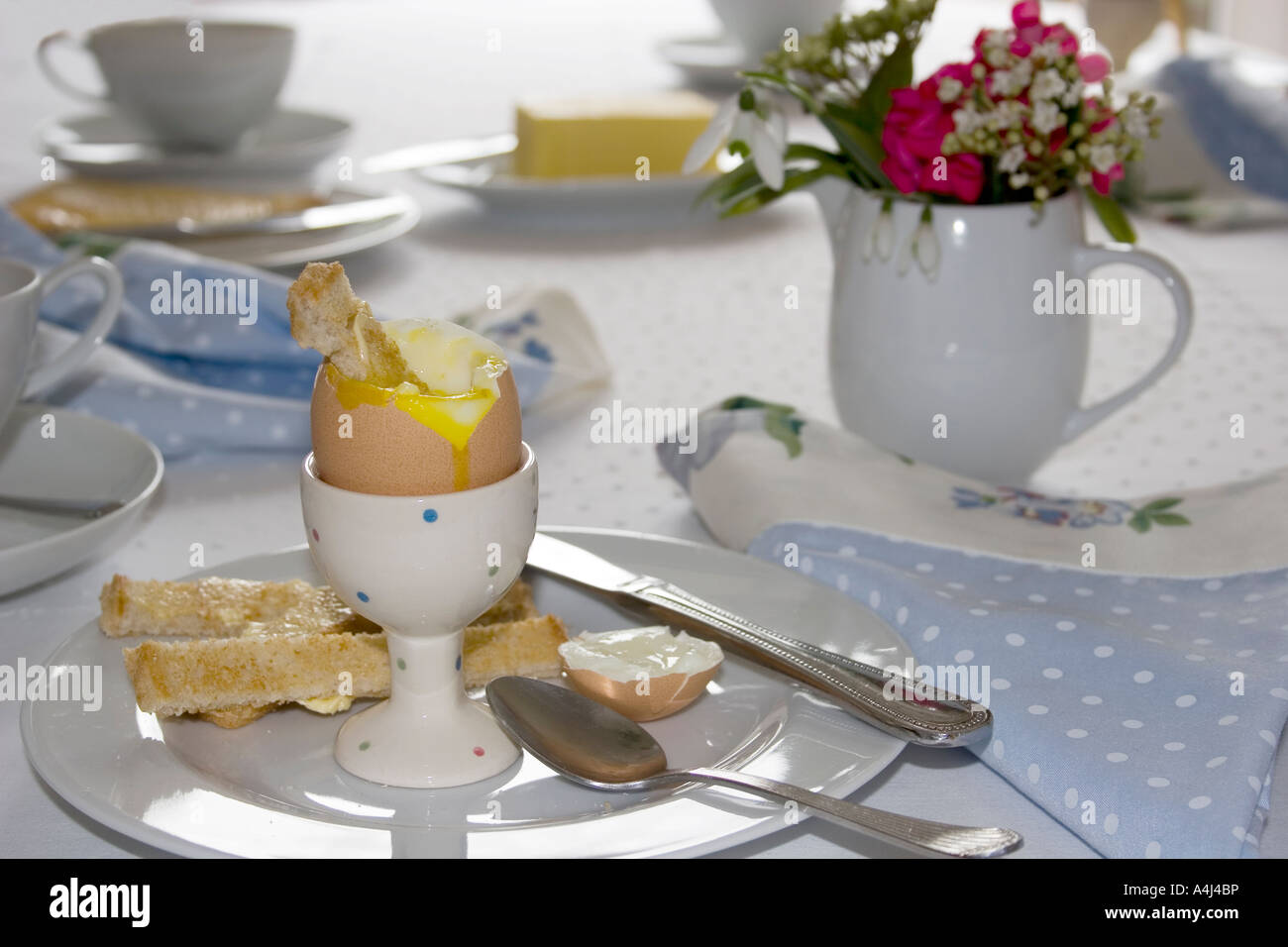 Breakfast of boiled egg and toast soldiers Stock Photo Alamy