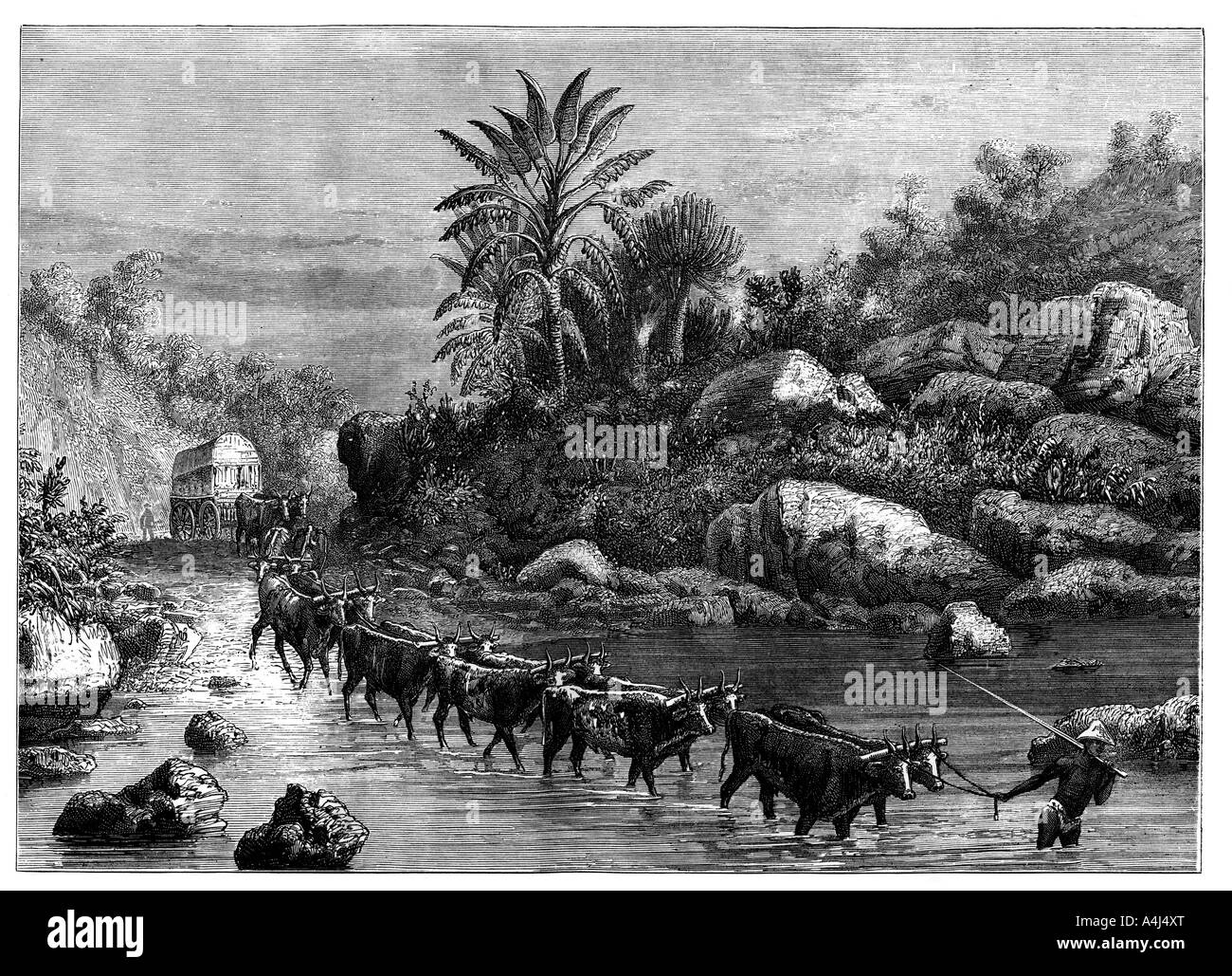 Travelling in Griqualand, South Africa, c1890. Artist: Unknown Stock Photo