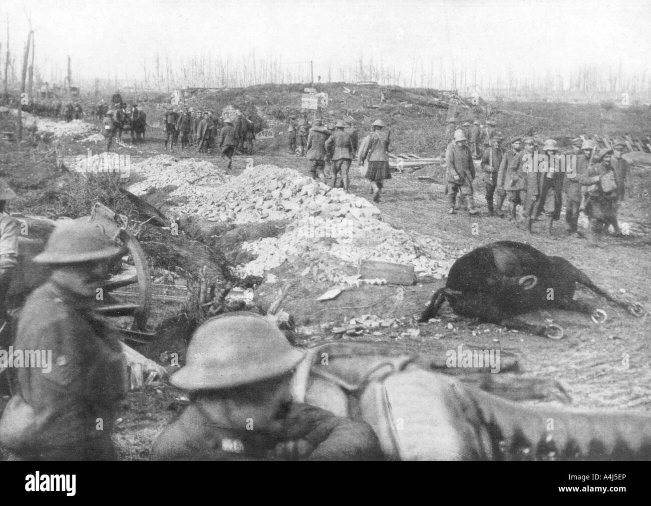 Dead german soldier 1917 hi-res stock photography and images - Alamy