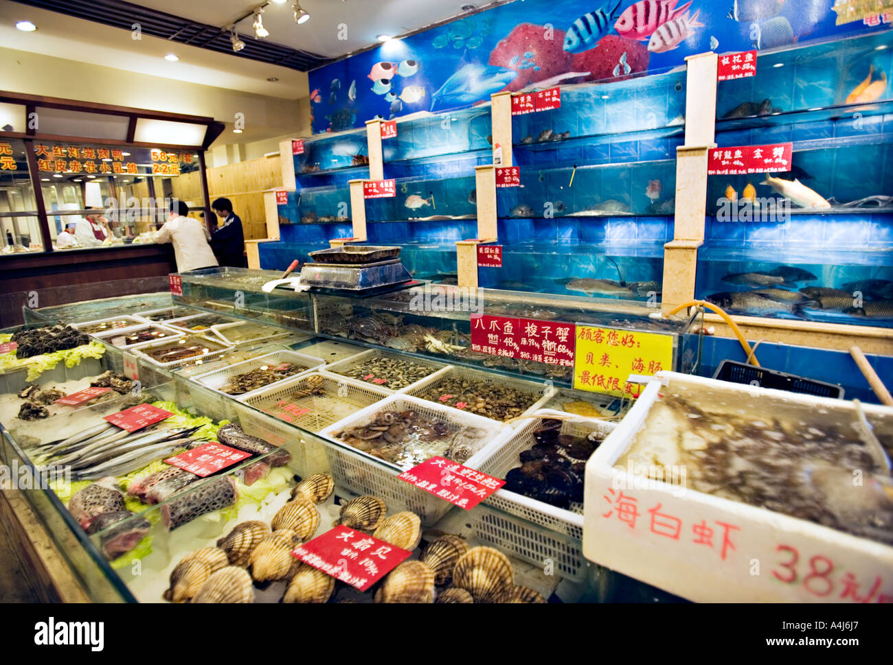 Chinese sale seafood restaurant