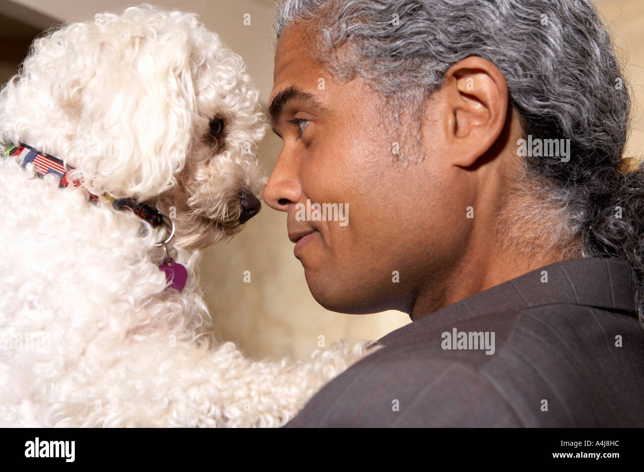 Man with grey hair nose to nose with his  dog Stock Photo