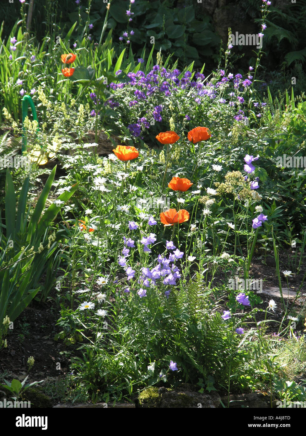 Staudengarten hires stock photography and images Alamy