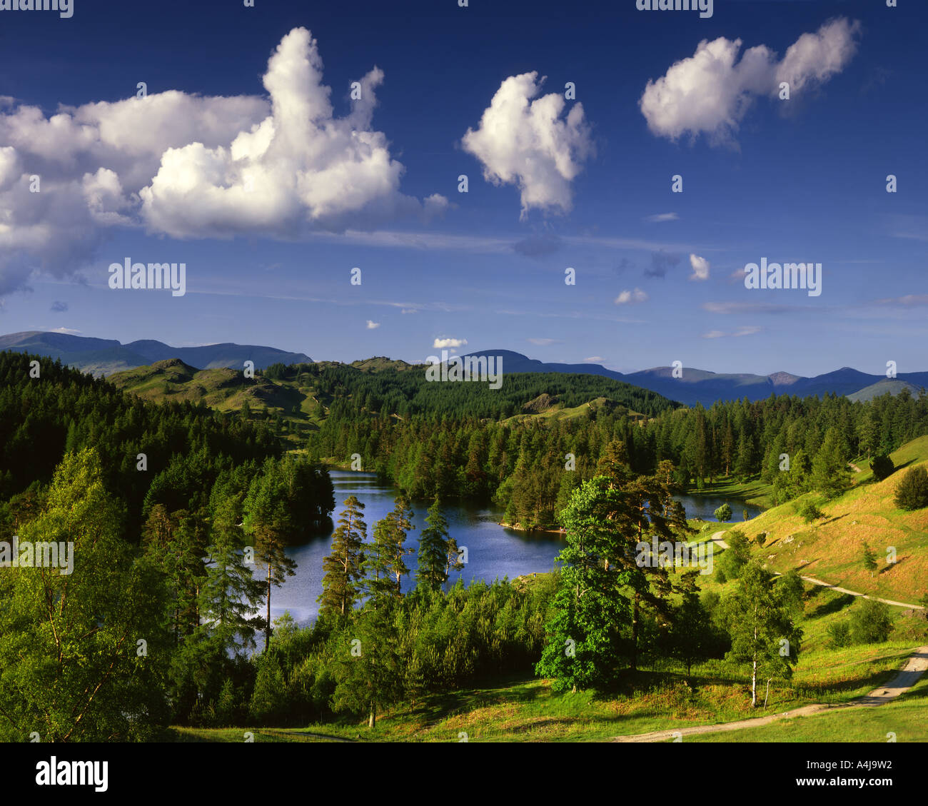 GB - CUMBRIA:  Tarn Hows in the Lake District National Park Stock Photo