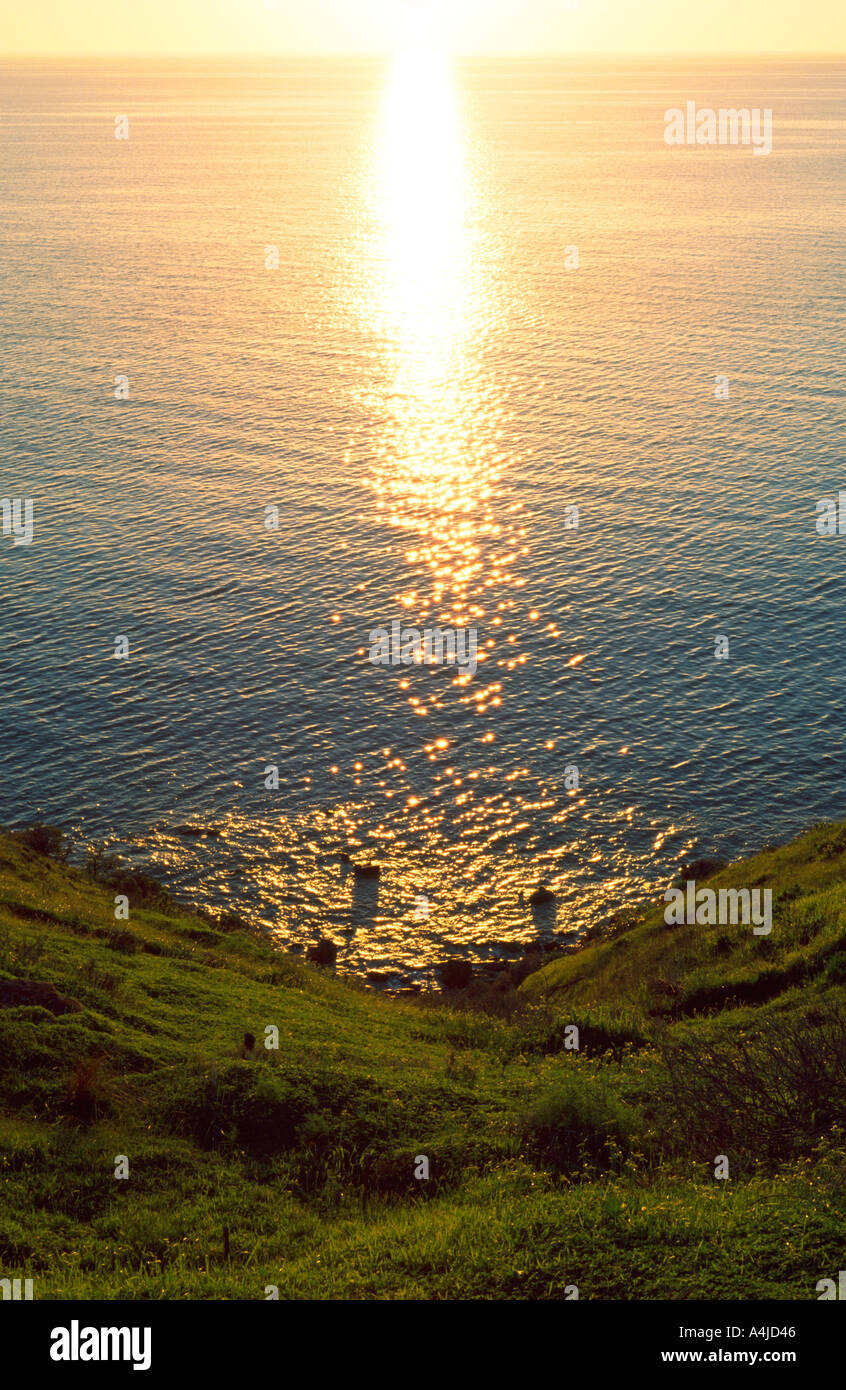 Green slope and serene sea Stock Photo