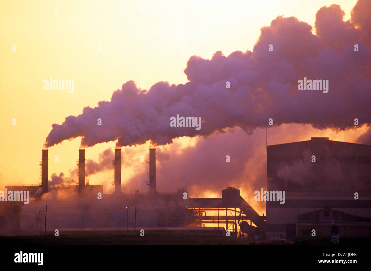 A modern South Texas sugar mill designed built and operated by a