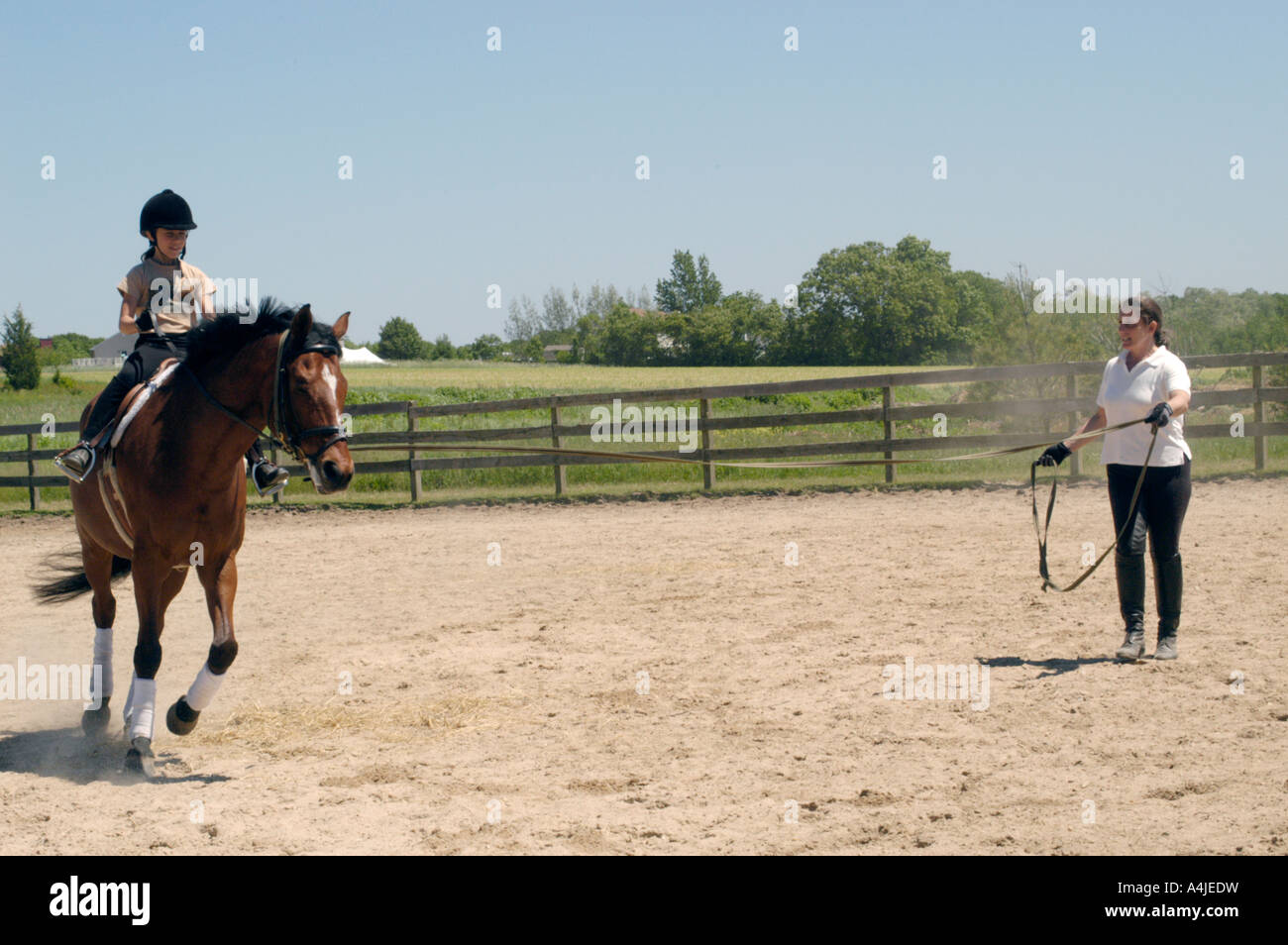 Lunging little girl on brown horse hires stock photography and images
