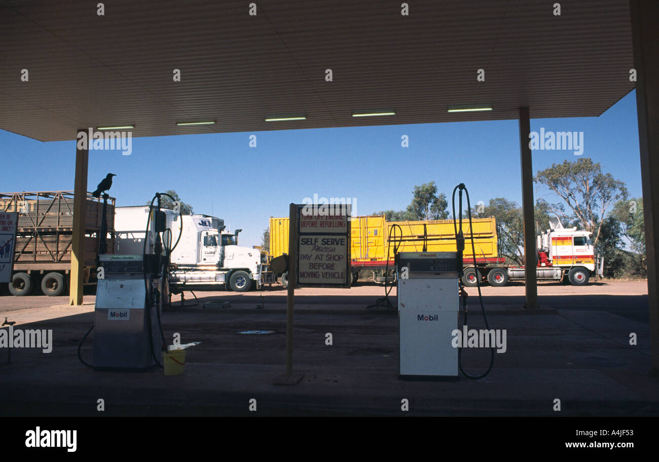 Service station central Australia crow on petrol pump roadtrains parked