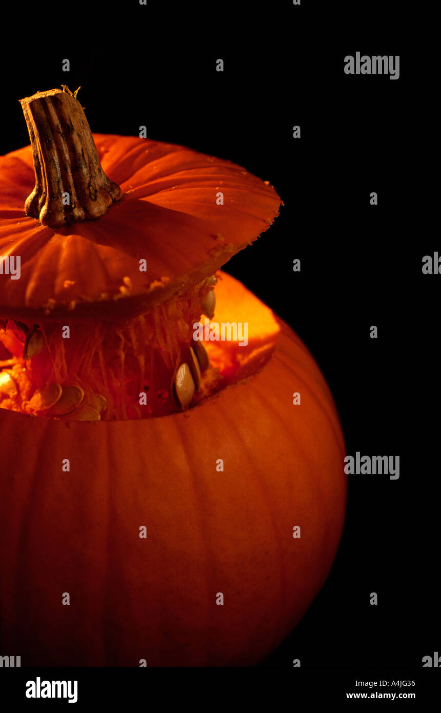 Dorset grown pumpkin for halloween England UK Stock Photo Alamy