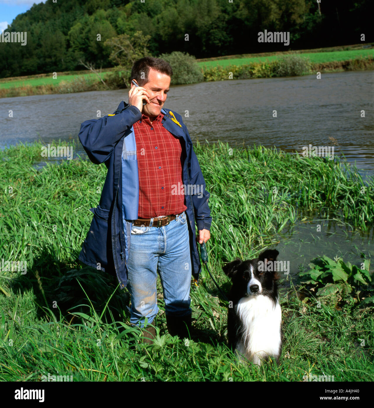 A British farmer with his dog standing by a river field talking on mobile phone in Carmarthenshire Wales UK  KATHY DEWITT Stock Photo