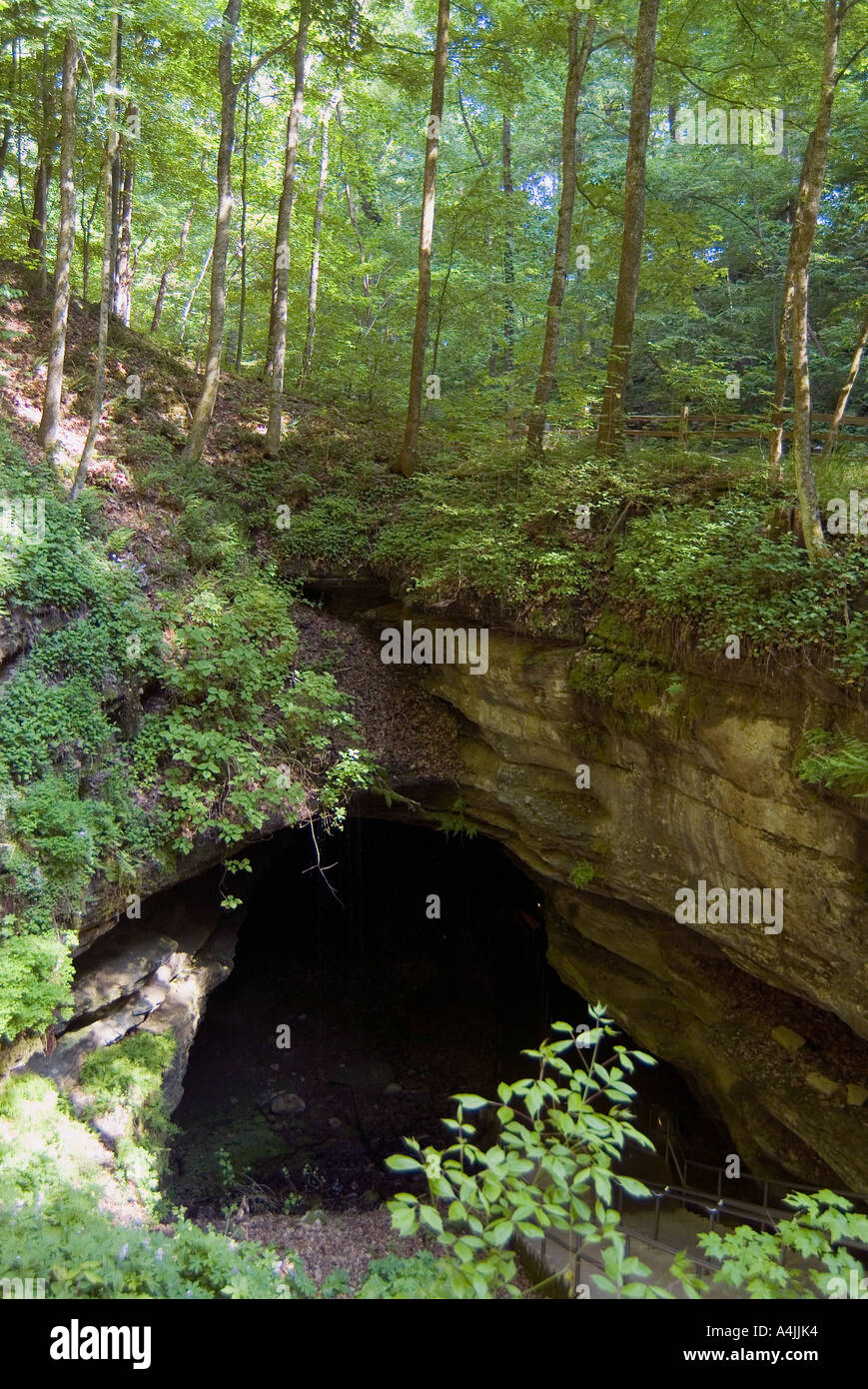 Mammoth Cave, Kentucky Stock Photo Alamy