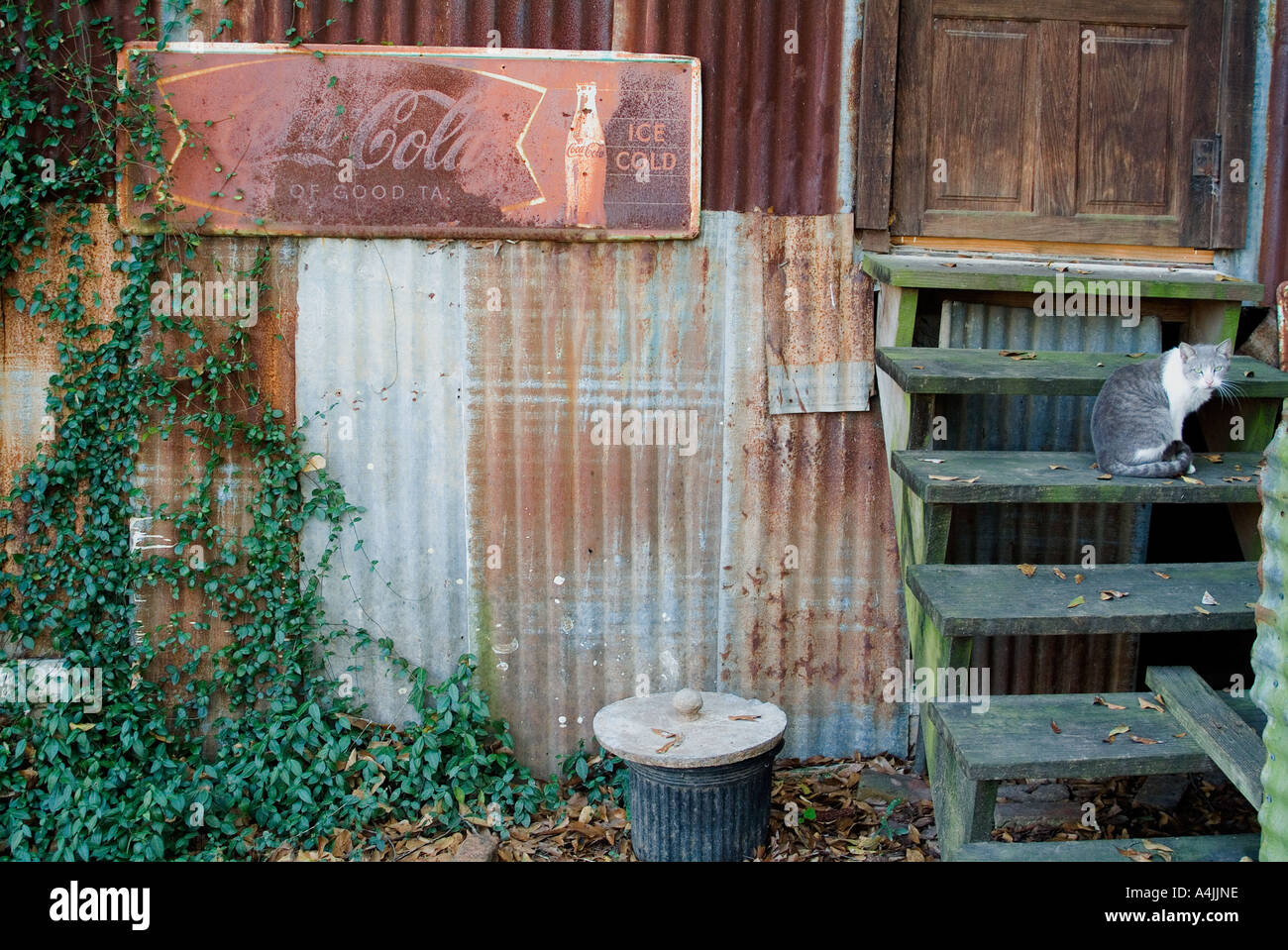 Bayou Cabin Breaux Bridge Louisiana Stock Photo 6322141 Alamy