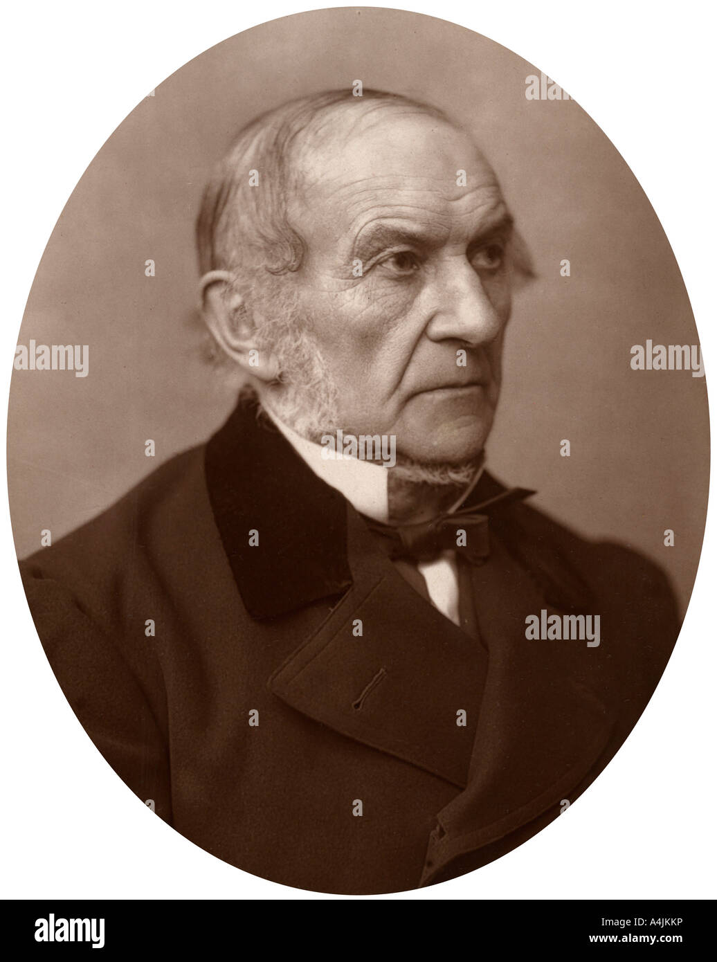 William Ewart Gladstone MP, British Liberal Prime Minister, 1882.Artist: Lock & Whitfield Stock Photo