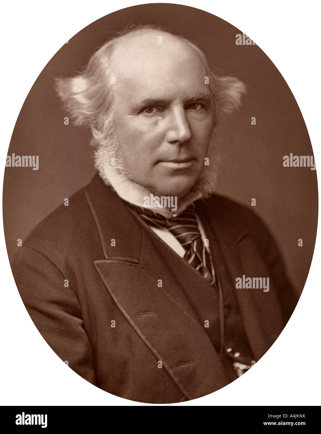Thomas Hutchison Tristram, QC, ecclesiastical lawyer, 1882.Artist: Lock & Whitfield Stock Photo