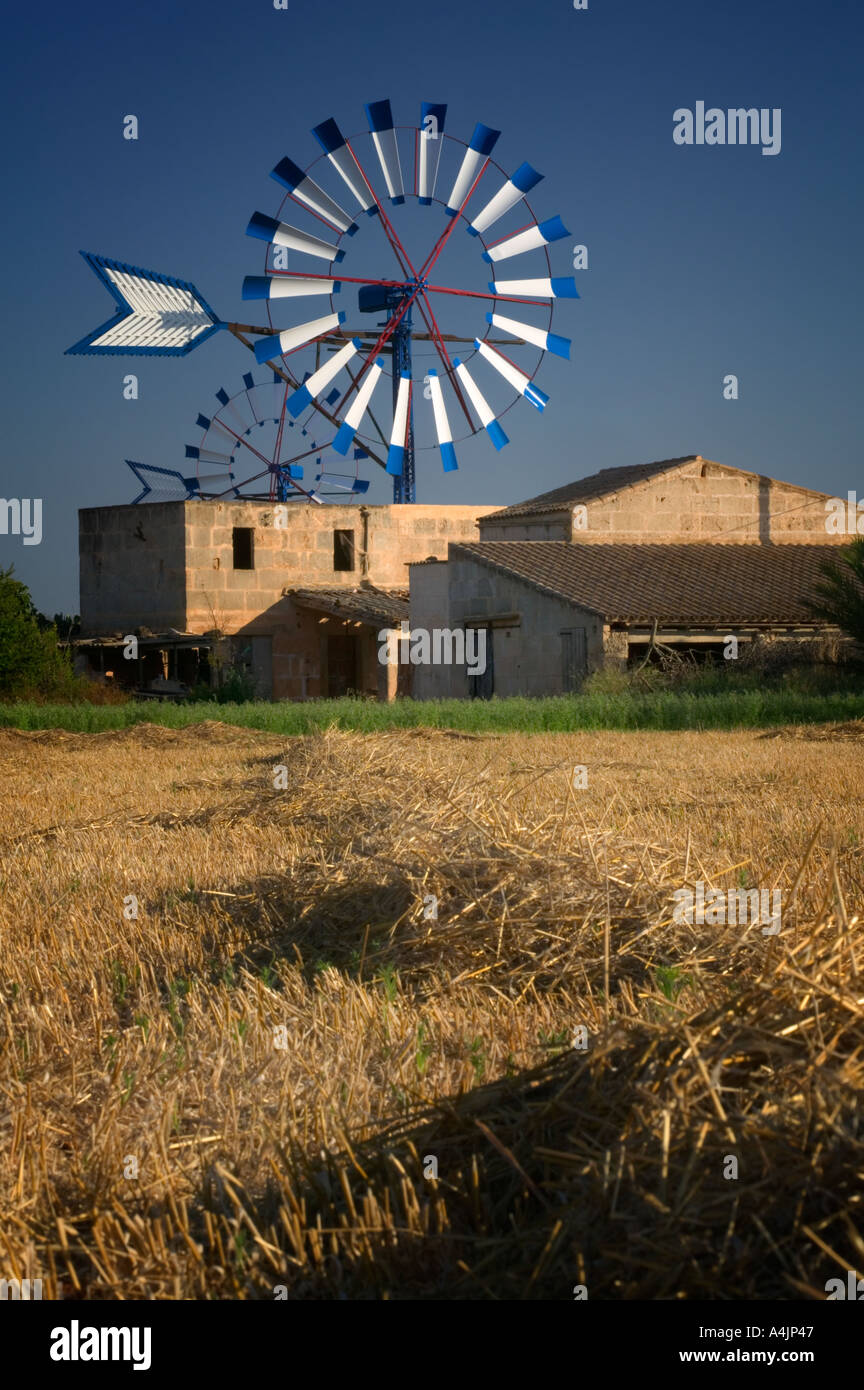 Farm with windmills near Palma de Mallorca. Stock Photo
