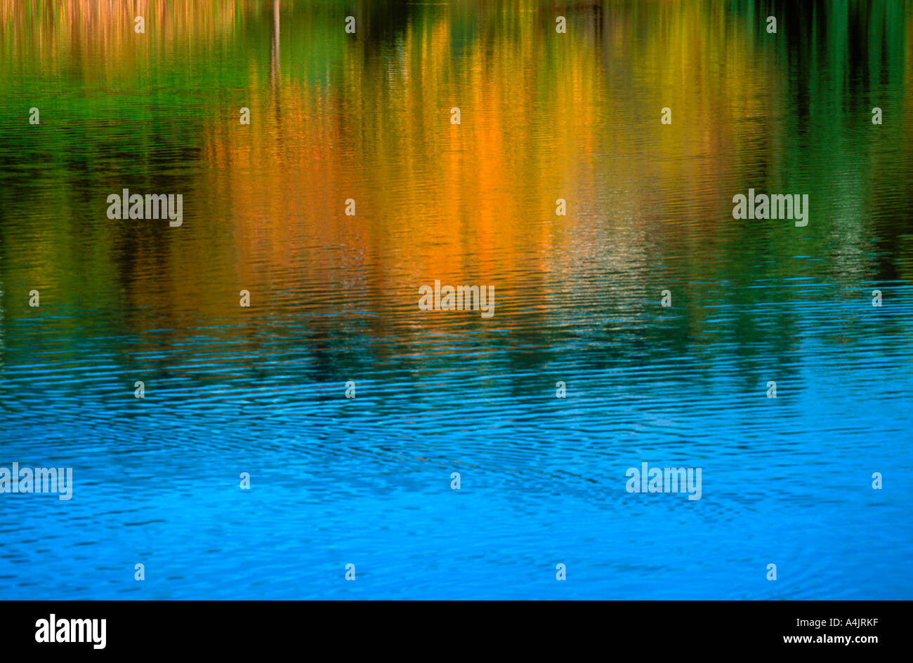 Brilliant reflection hi-res stock photography and images - Alamy