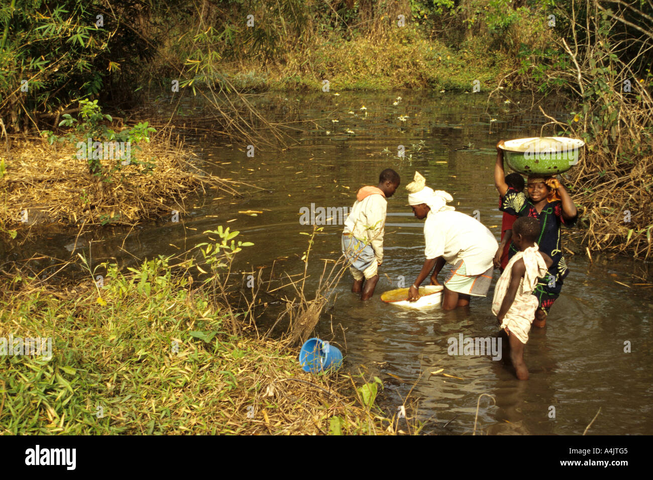 Water Source, Girls Getting Water from Pond, Ivory Coast., Cote d'Ivoire. Stock Photo