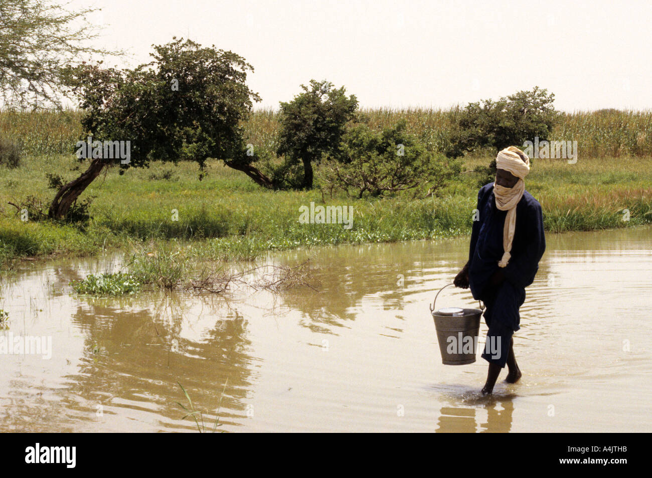 Carrying Water from Guinea Worm-infested Pond, Niger. Stock Photo