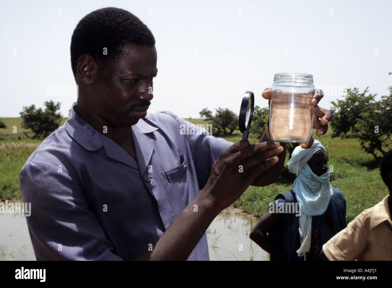 Nigerien Doctor Examines Water for Guinea Worm Transmitters, Niger. Stock Photo