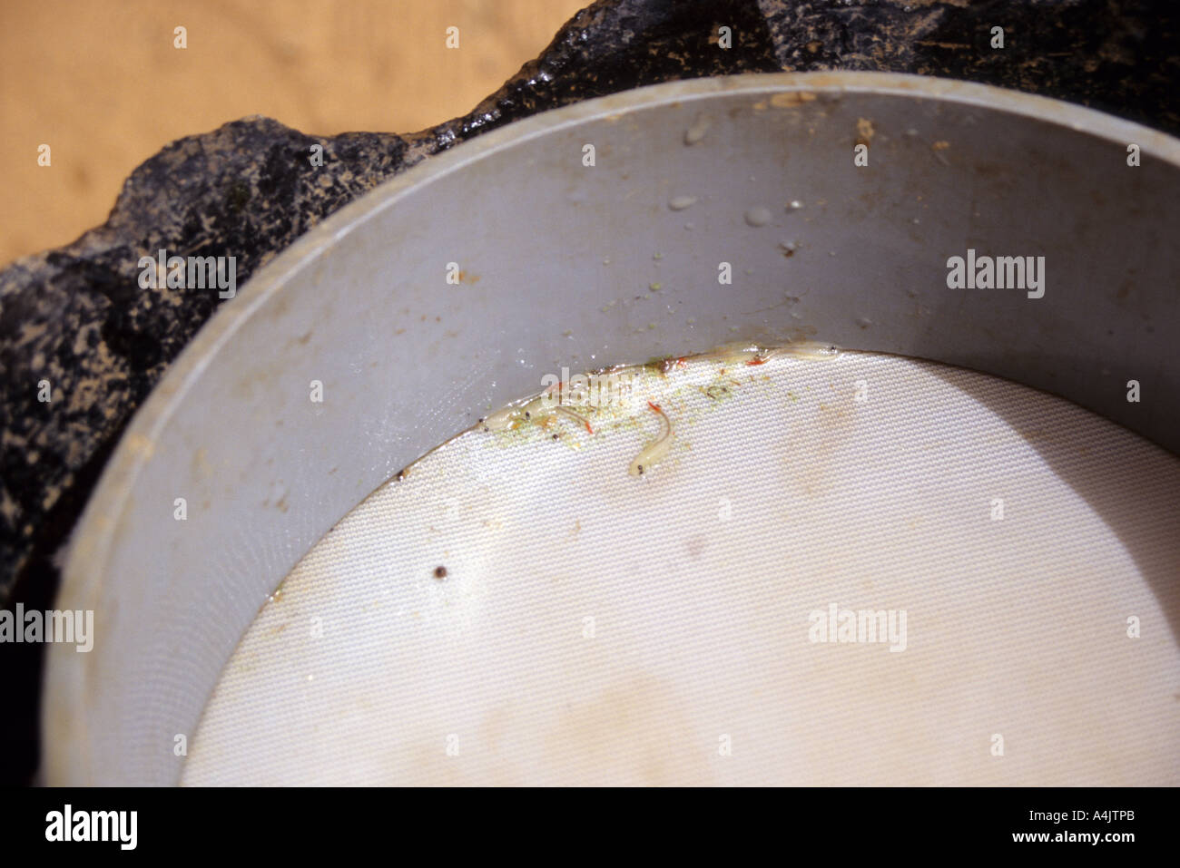 Residue in Water Filter, Niger Stock Photo
