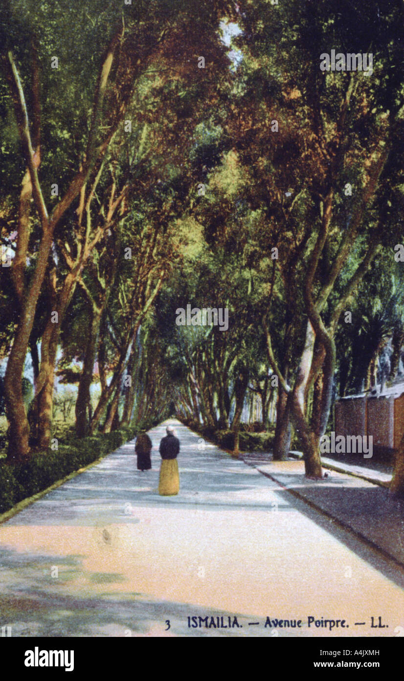 Carte Postale Ancienne – Ismailia, Egypte – Empress Avenue – Vintage (b34318)