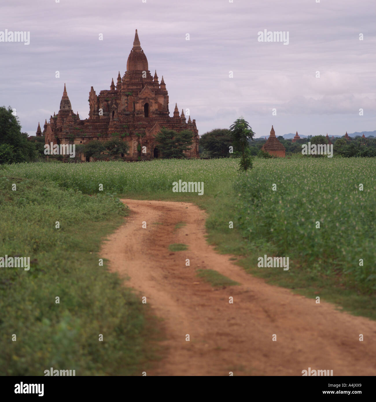 Myanmar landscape hi-res stock photography and images - Alamy