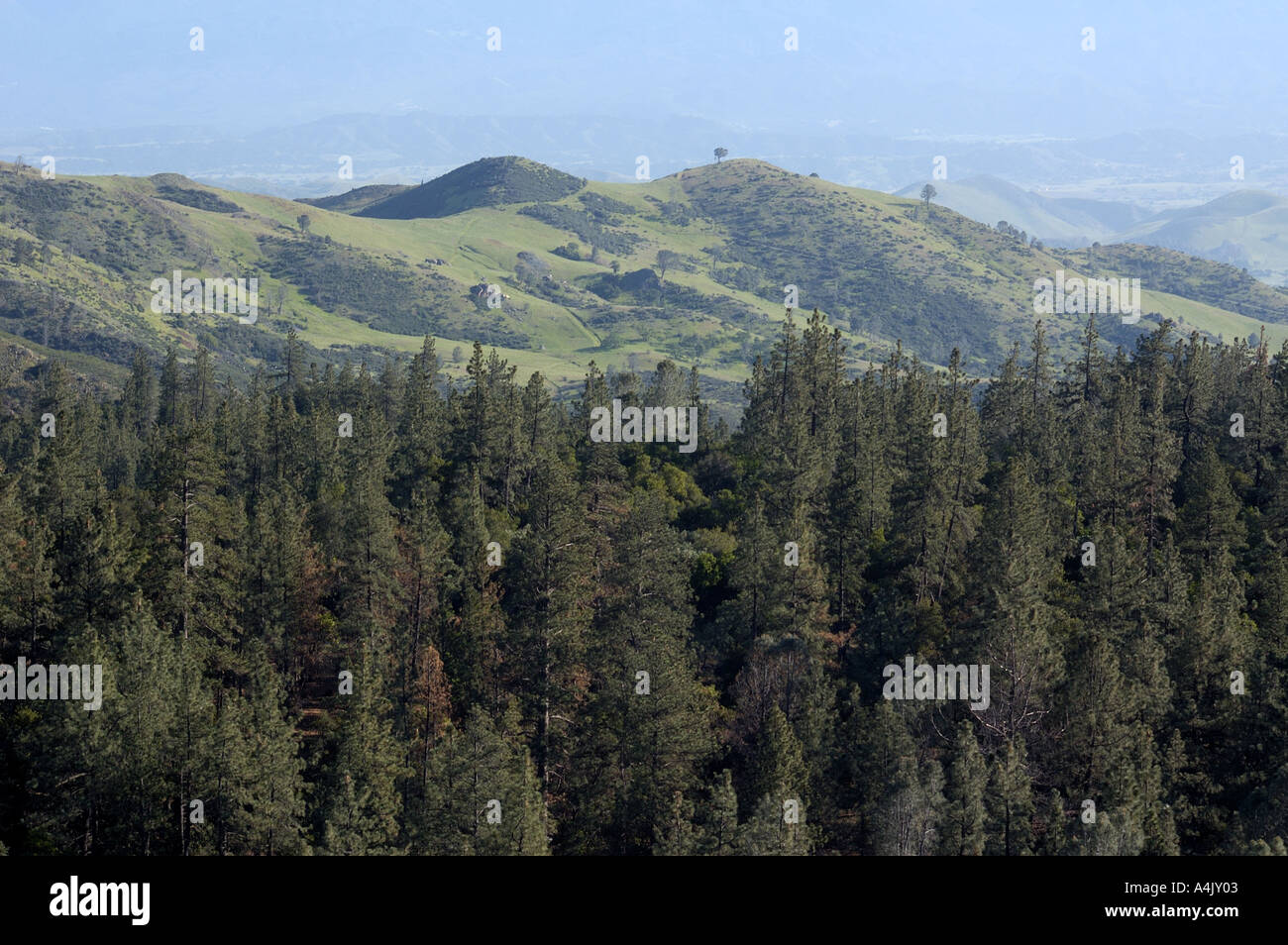 Los Padres National Forest Stock Photo Alamy