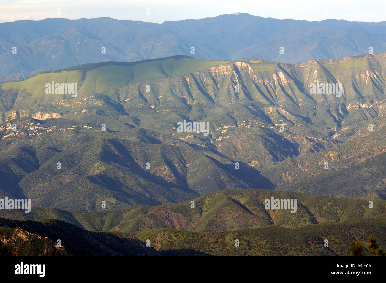 Los Padres National Forest Stock Photo Alamy