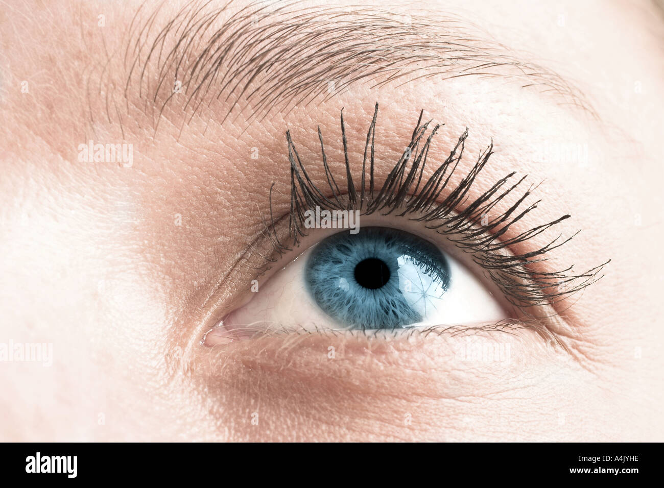 Beauty woman face blue eyes close up hi-res stock photography and ...