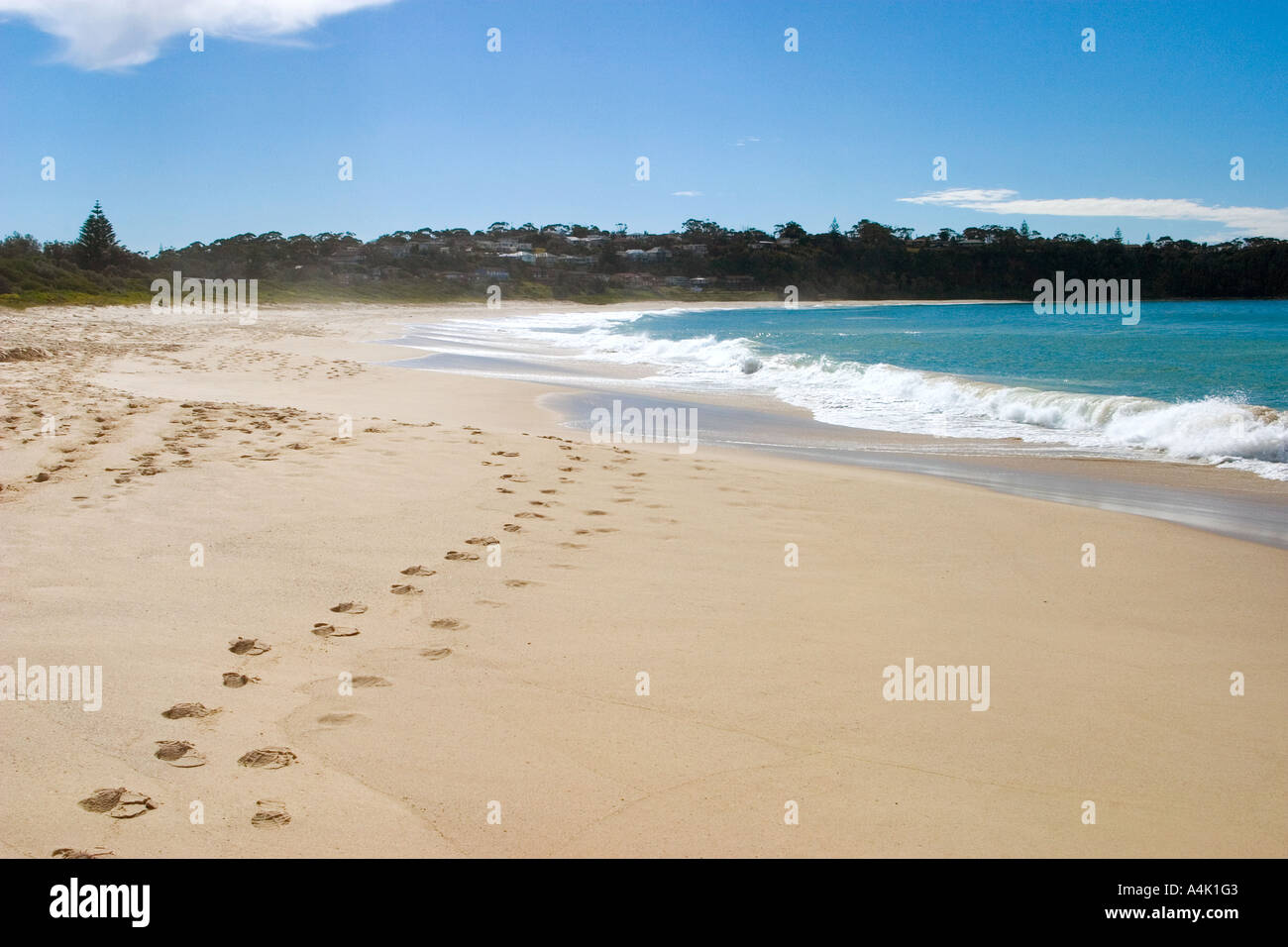 Mollymook, New South Wales, Australia Stock Photo Alamy