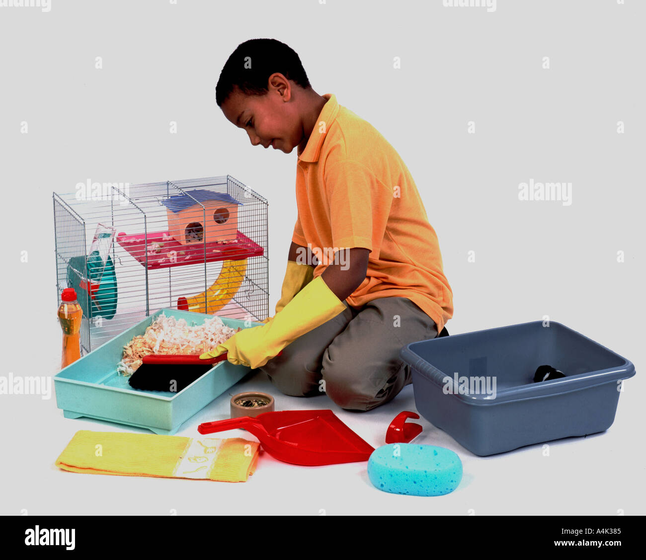 Young boy cleaning out hamster cage with hamster in bowl Stock Photo Alamy