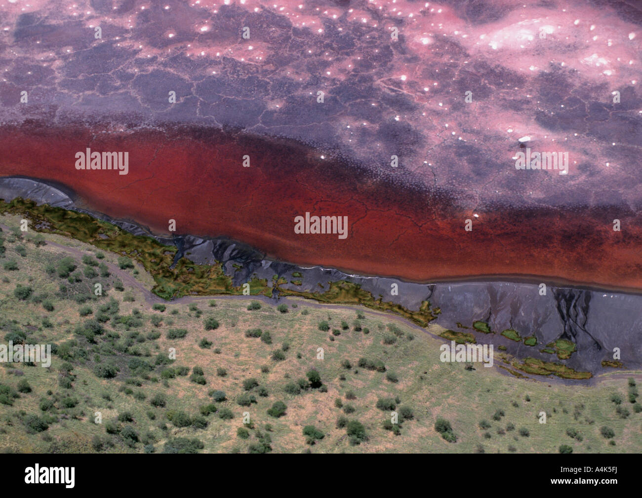 Aerial view of the salty shore line of Lake Natron, Tanzania Stock Photo
