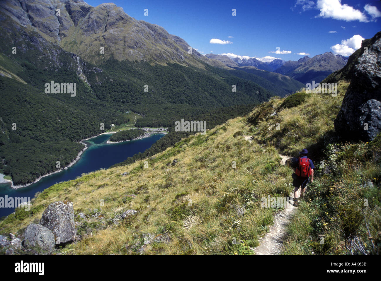 Walker descending to Lake MacKenzie Hut Routeburn Track Fiordland National Park Southland South Island New Zealand Stock Photo