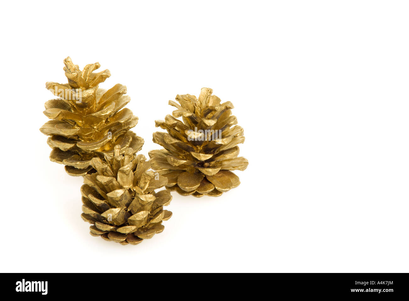 Three golden pine cones isolated on a white background Stock Photo - Alamy