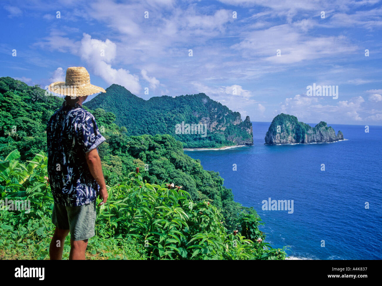 Man looks at The Cockscomb an offshore rock formation at the north end of Vatia Bay American Samoa Stock Photo