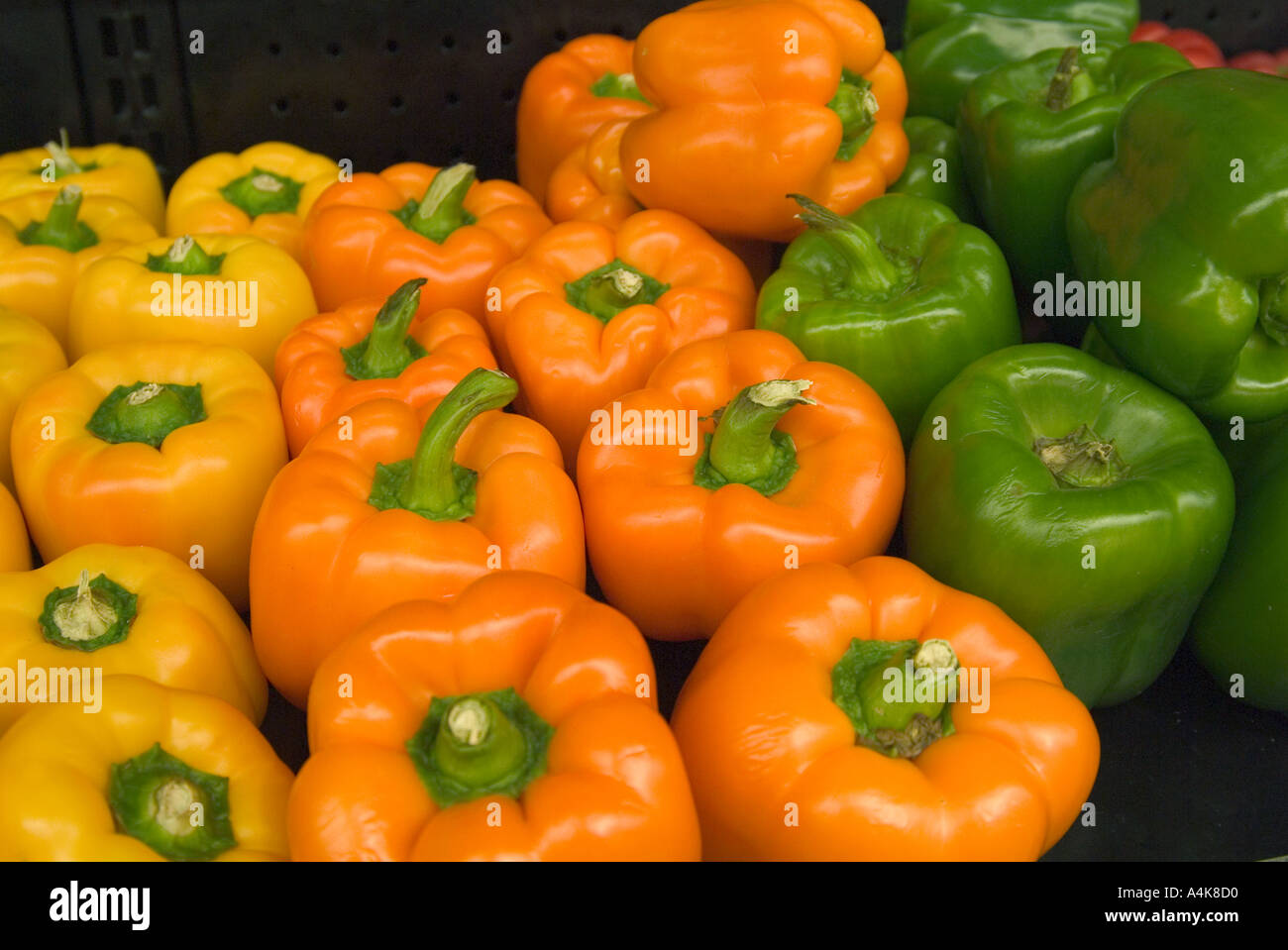 display of yellow capsicums red and green capsicums Cayenne Pepper  Stock Photo