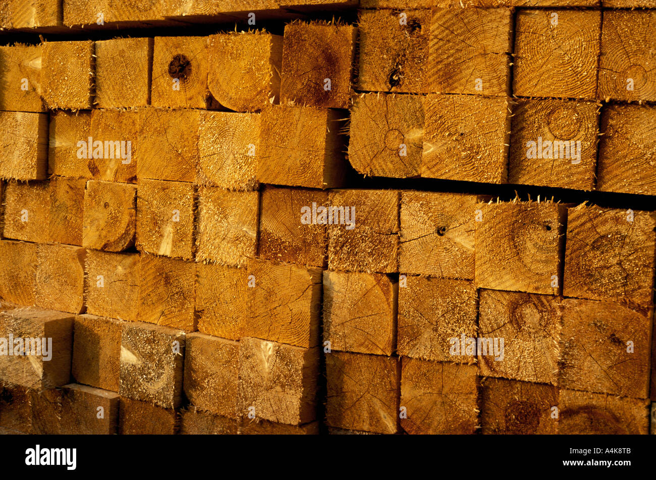 Stackly Logs Stacks of logs hi-res stock photography and images - Alamy