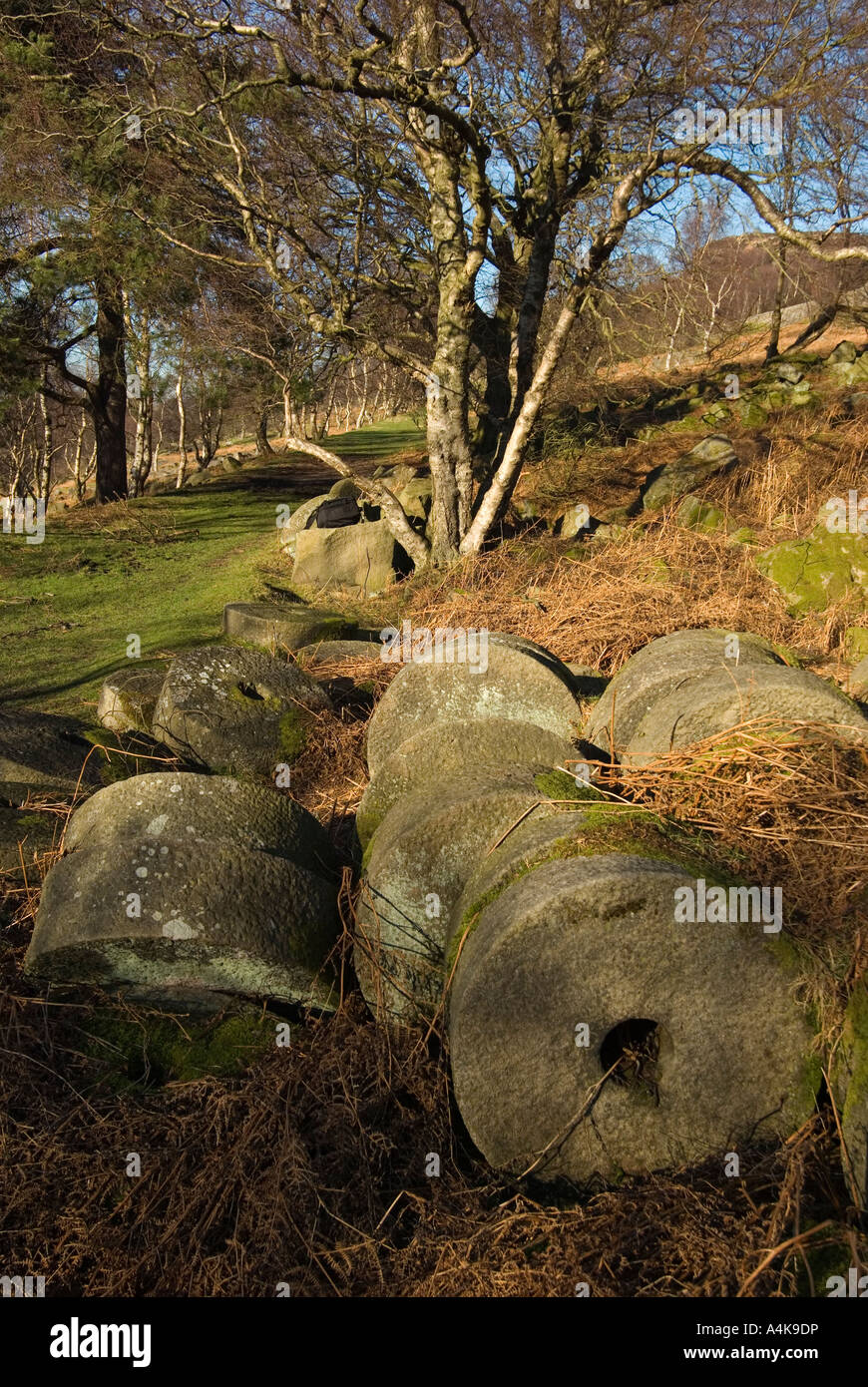 Abandoned grit millstones at Bole Hill Quarry Stock Photo Alamy