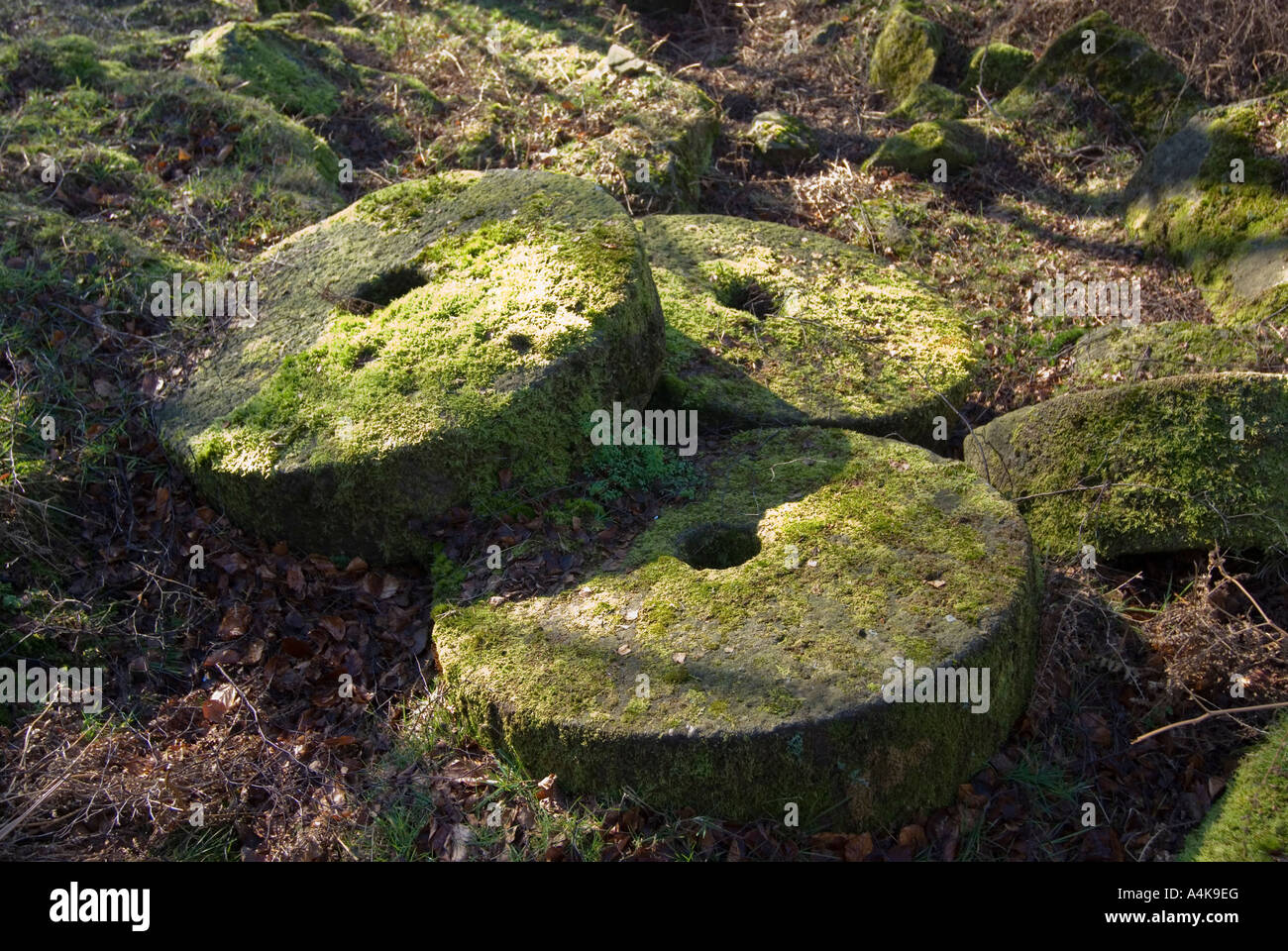 Abandoned grit millstones at Bole Hill Quarry Stock Photo Alamy