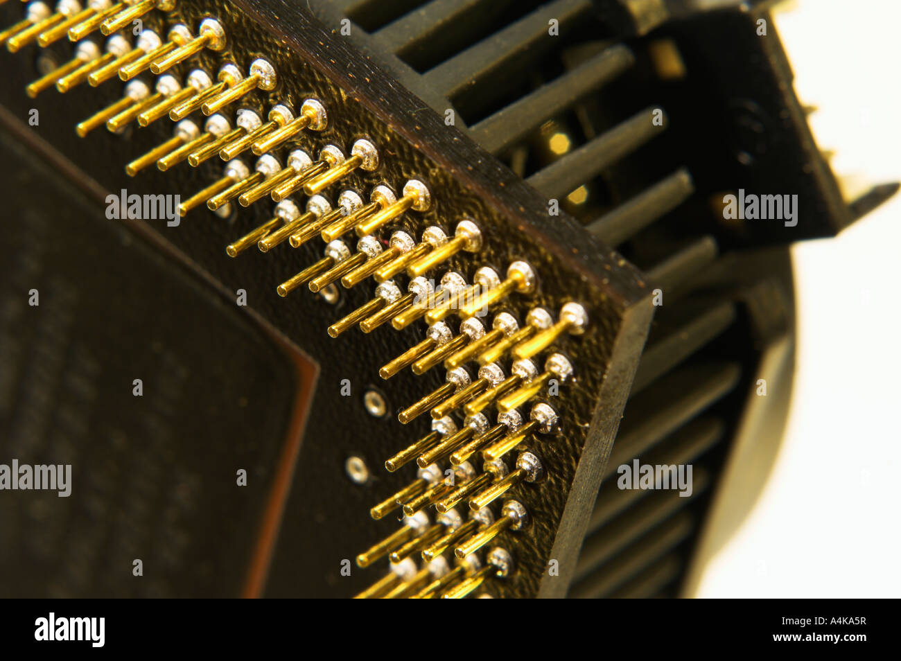 Closeup computer CPU unit showing gold plated pins Stock Photo Alamy