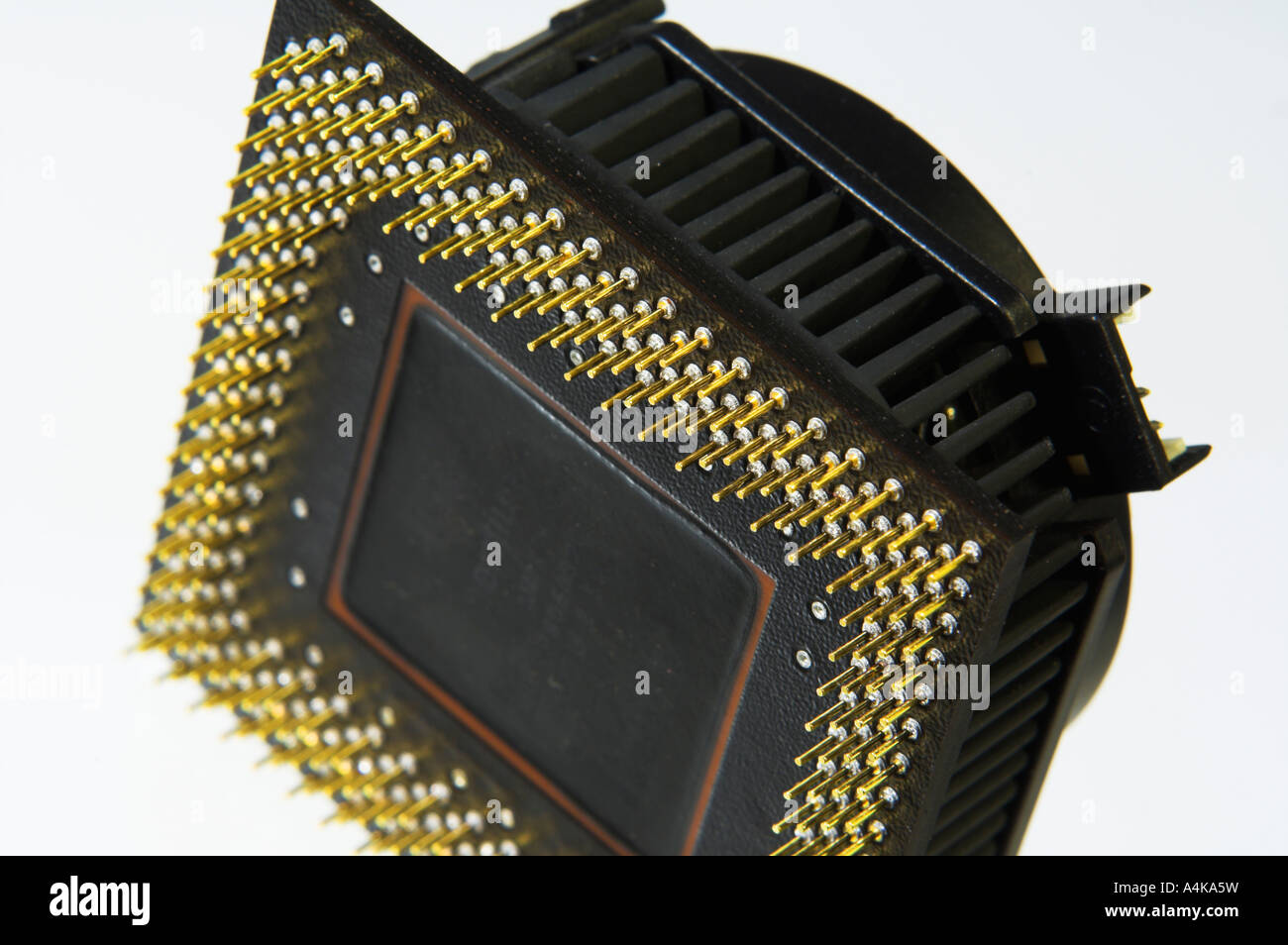 Closeup computer CPU unit showing gold plated pins Stock Photo Alamy