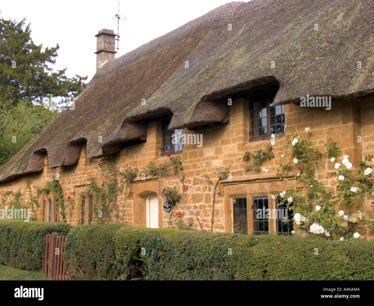 Gloucestershire Snowshill Cotswold stone built thatched country cottage Stock Photo