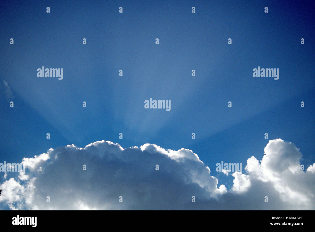 Sunny Day Blue Sky Landscape Sun Clear No Clouds Stock Photos & Sunny ...
