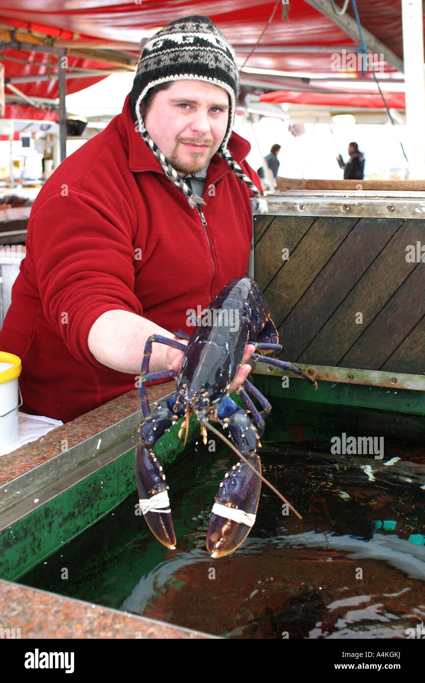 Norwegian Fisherman | atelier-yuwa.ciao.jp