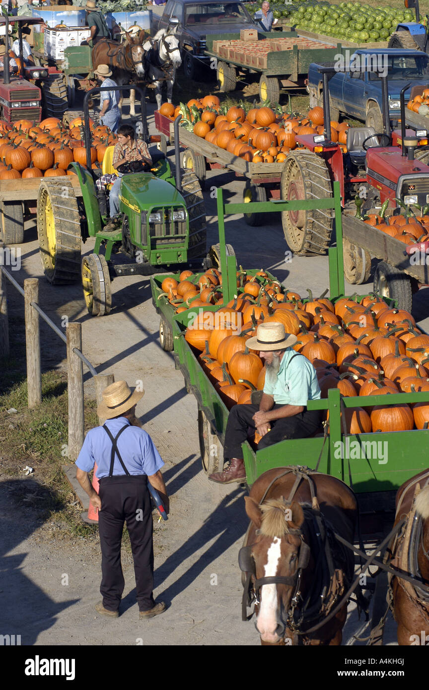 Farmers at a produce auction, Pennsylvania Stock Photo Alamy