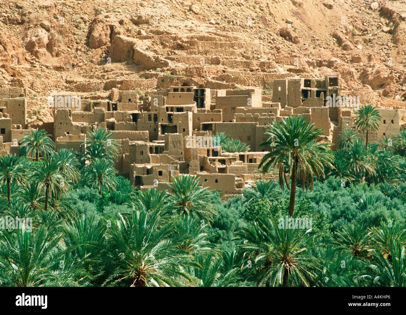 Morocco, palm grove and mountainside village Stock Photo Alamy